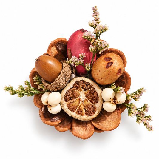 Pinecone Fridge Magnet DIY Kit – Design 6
